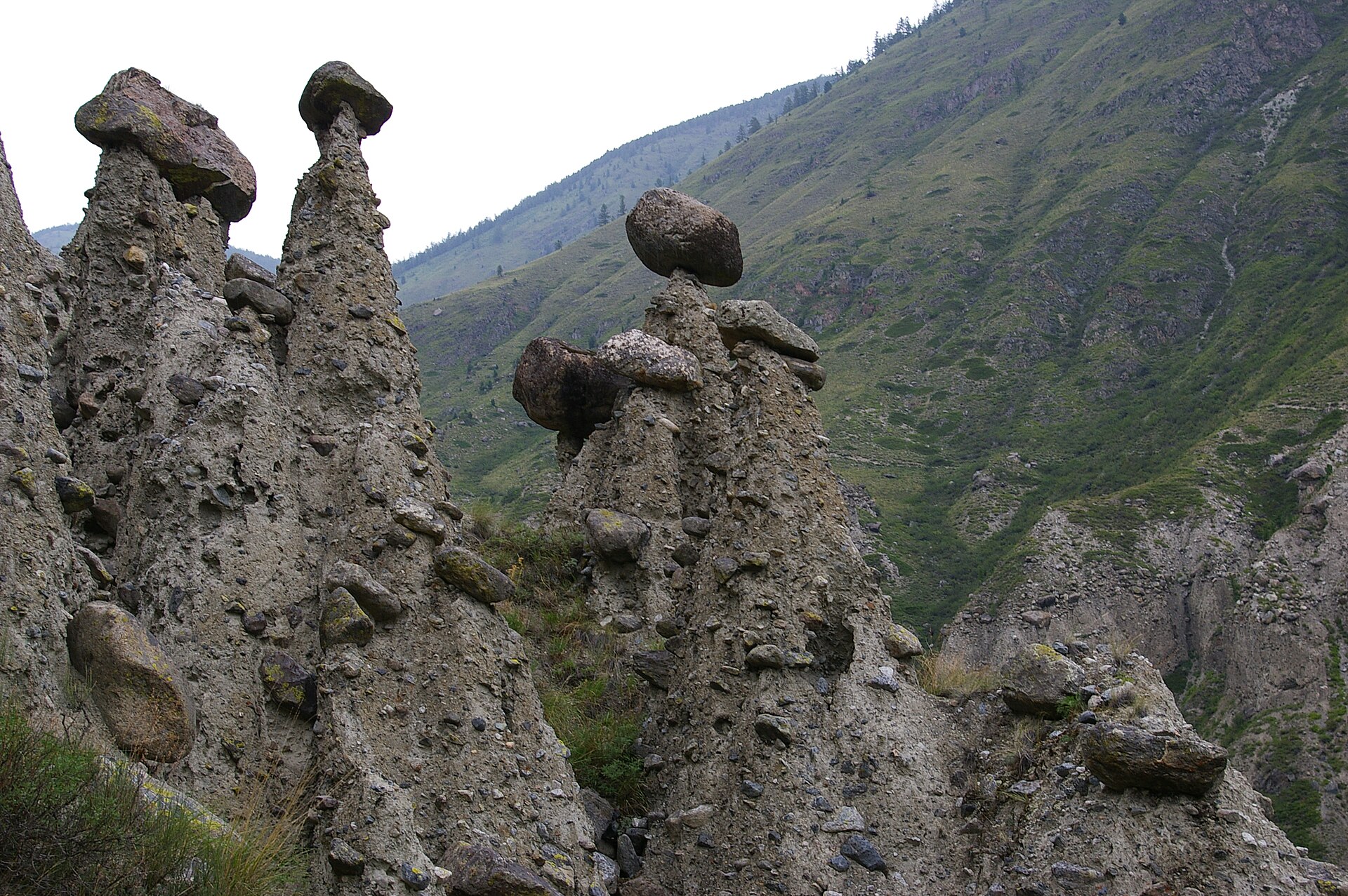 Каменные грибы урочища Аккурум